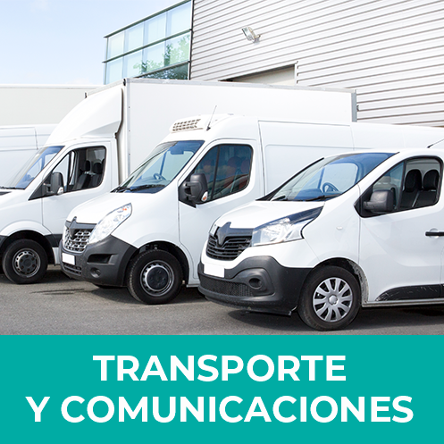 Talento Importado - Profesionales