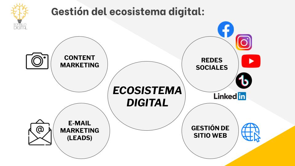 Talento Importado - Empresas - Bombillo Digital
