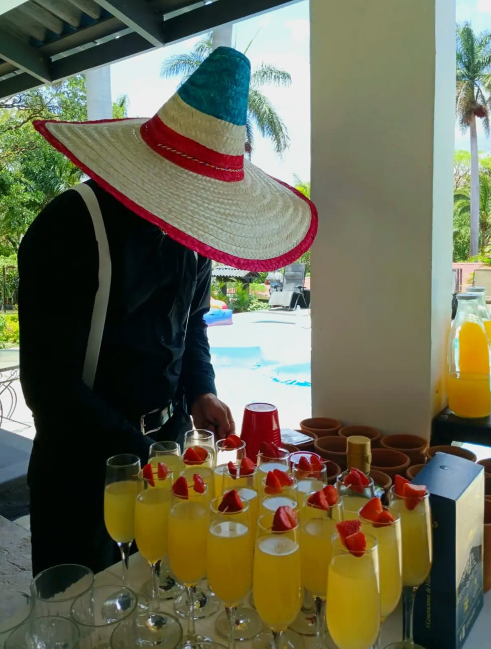 Talento Importado - Oficio Servicios - Saloneros y Bartender Arte Liquido
