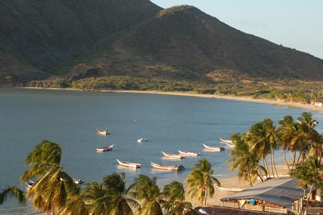 Talento Importado - Oficio Servicios - Hernany Gil fotos